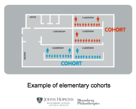 Example of elementary cohorts 